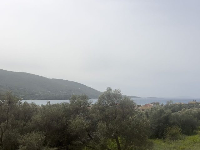 img_9156